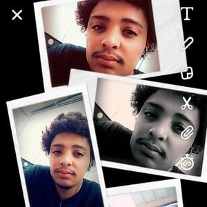 Meet your Posher, Norman